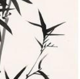 tp6多應用自定義taglib標簽